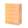 5 Drawer Chest 116_ (E&S)