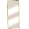 Mylar Door Mirror Rectangle 30_ (BD)