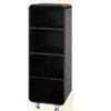 3-Shelf Cabinet 4314_ (PJ)