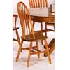 Philadelphia Windsor Chair 5388A (CO)