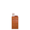 Shoe Cabinet SB-236(ACEFS65)