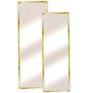 Mylar Door Mirror Rectangle 30_ (BD)