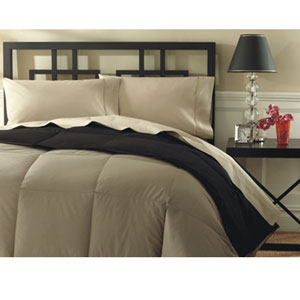 Adore Solid Color Comforter (AP)