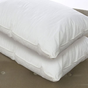 Set Of 4 Down Alternative King Pillows (RPT)