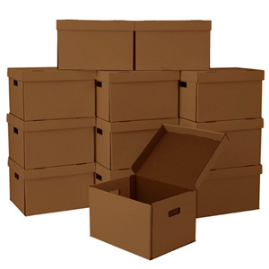 File Moving Boxes (Pack of 12) 13928218(OFS42)